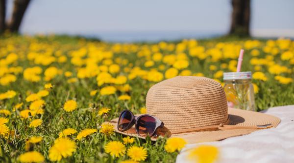 horoscop de weekend pentru berbec taur gemeni rac leu si fecioara
