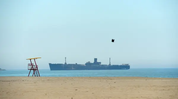 inainte de beach please costinestiul gazduieste poate cel mai frumos pariu pe viitorul romaniei faceti cunostinta cu omul din spatele lui video foto