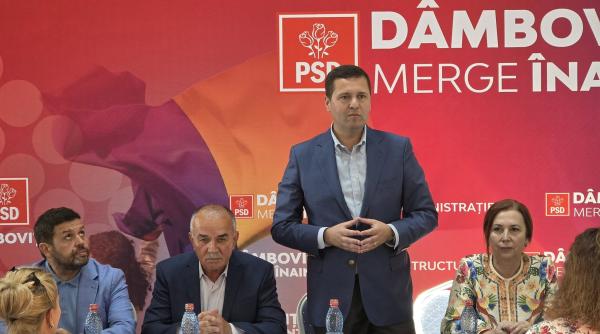 corneliu stefan despre alegerile organizatiilor psd dambovita