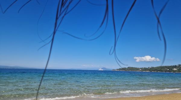n am vazut pestele iepure in grecia dar l am vazut pe dracul marii chiar la mal si e toxic doar prin atingere