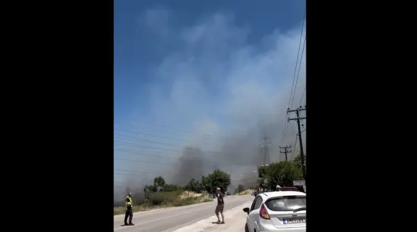 incendiu in grecia in evia in apropiere de un sat