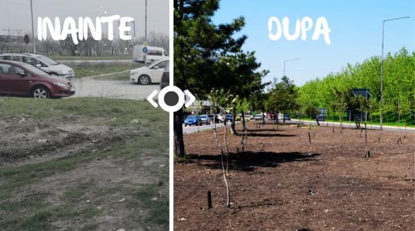 copacii infrastructura de care bucurestiul are nevoie in verile tot mai fierbinti