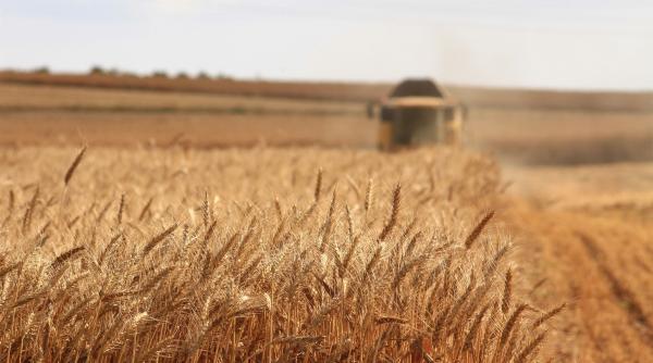 nisa de oportunitate pentru romania tarile din europa in care nu se va mai putea face agricultura pana in 2050 video
