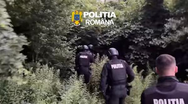 video urmarit national descoperit de politisti intr o groapa sapata in pamant mascata de vegetatie in zona unor camine studentesti din cluj