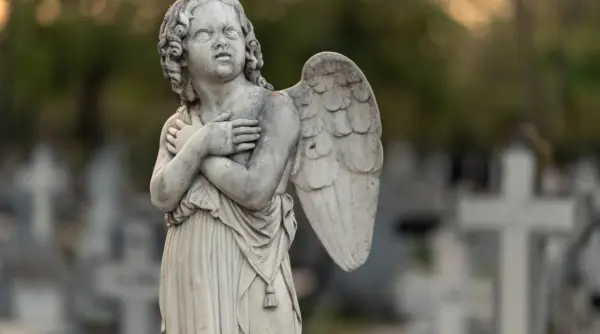 interdictia care a transformat cimitirele din arad mai putine coroane mai putine deseuri