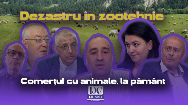 dezbatere la dc news miorita blocata la export cine este vinovat de cine depinde rezolvarea crizei