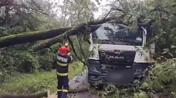 ploile au facut ravagii in sase judete si in bucuresti zeci de locuinte inundate oameni evacuati si copaci doborati de vant