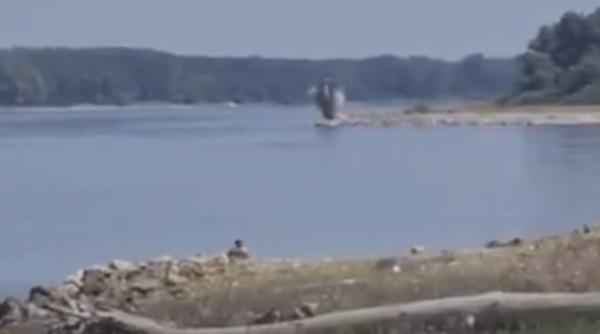 armata intervine si va arunca in aer o stanca pe dunare obiectivul e de a devia apa spre cernavoda