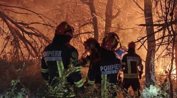 peste 100 000 de hectare au fost facute scrum in franta sute de persoane inclusiv minori retinute pentru provocarea incendiilor