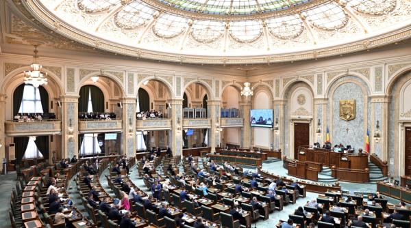 proiectul legii ani dezbatut in comisia juridica din senatul romaniei