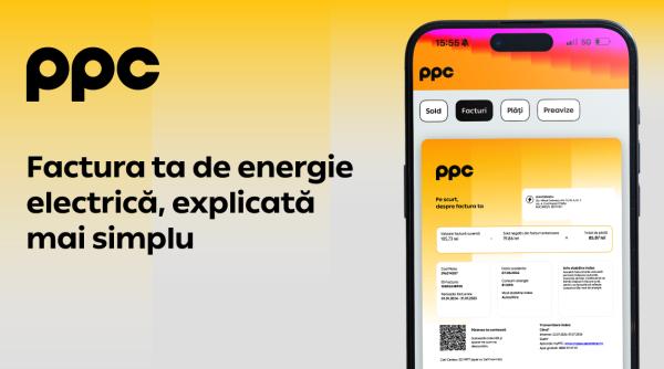 factura ppc are o pagina de sumar cu toate informatiile care conteaza la indemana