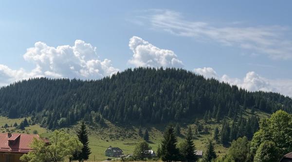 de cate zile de concediu au nevoie romanii pentru a si reface real energia intrebare retorica angajatorii ar fi de acord