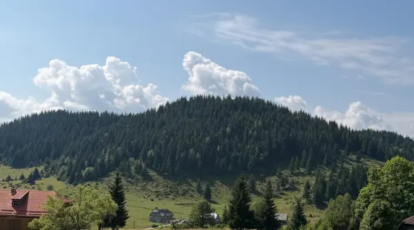 de cate zile de concediu au nevoie romanii pentru a si reface real energia intrebare retorica angajatorii ar fi de acord