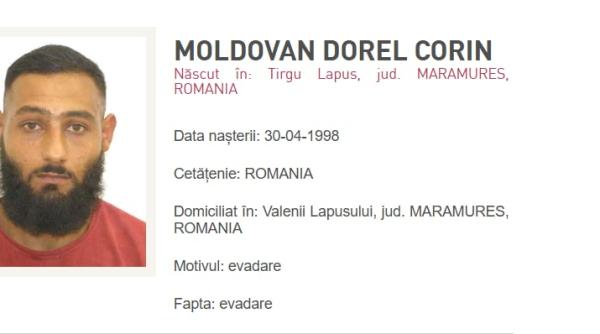 detinut evadat din penitenciarul baia mare politia in alerta dupa ce ar fi amenintat ca isi omoara sotia