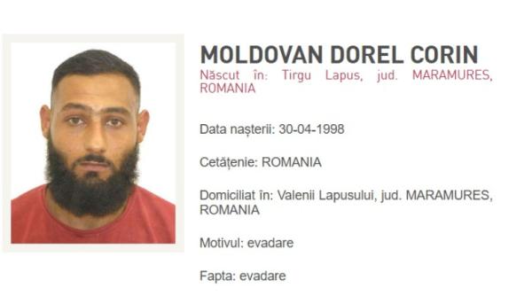 detinutul evadat in baia mare cautat toata noaptea cu drone cu termoviziune unde a fost vazut ultima data