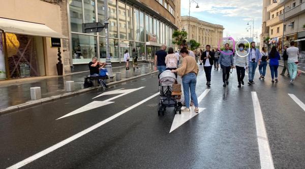nu e doar omul care a pornit razboiul merdenelei a lucrat in guvernul ciolos a fost consilierul lui nicusor dan si a picat concursul de director dar a ramas in functie