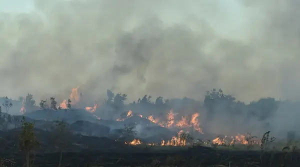 incendiu de vegetatie in sardinia peste 1 000 de persoane evacuate dupa ce flacarile au amenintat locuintele