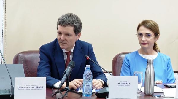 nicusor dan langa lia savonea la sedinta csm