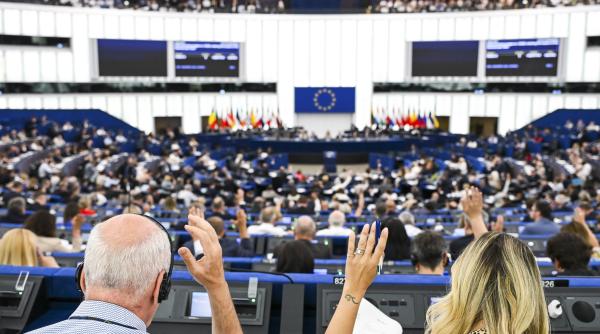 rezolutie anti romania sustinuta de pnl si usr chirieac lauda anuntul georgianei teodorescu ei au crezut ca nu o sa aflam