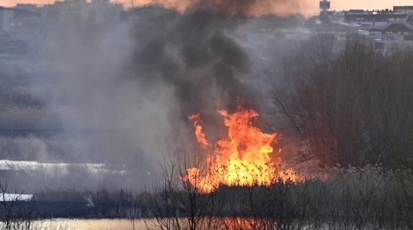 incendiu la un tren cfr in buftea circulatia feroviara afectata pe ruta peris chitila