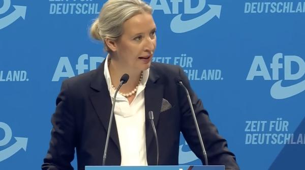 cine este alice weidel probabil viitorul lider al germaniei video viral dupa victoria afd