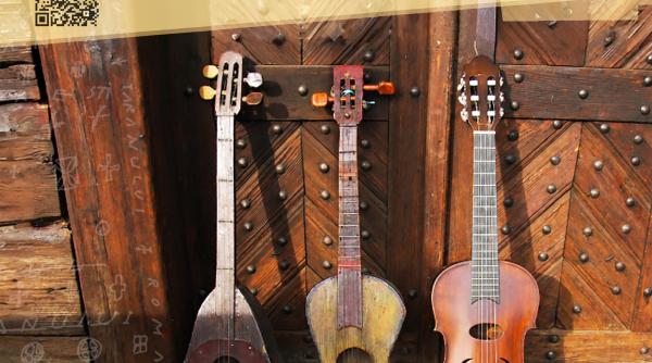 taraful pitigoi din targu carbunesti si grupul iza din maramures concert de muzici traditionale la mtr
