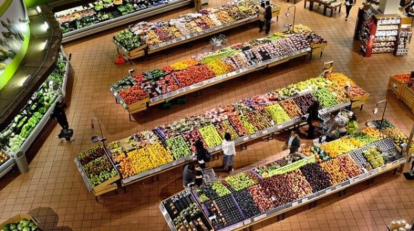 abateri grave la un depozit de legume din ilfov ansvsa i a interzis activitatea tone de legume din romania retrase