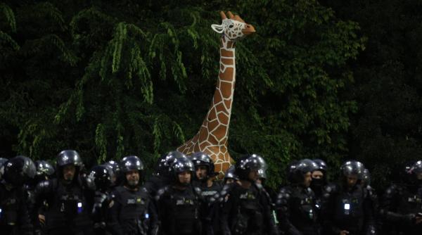 fermierii a doua zi in piata victoriei unii au dormit pe trotuare si in parc