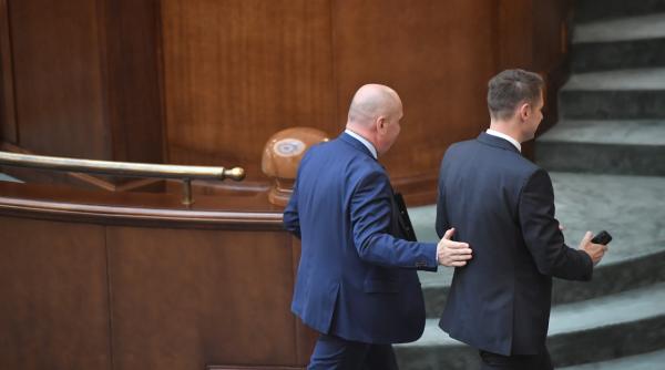 abrudean la interne bolojan la senat competenta din spatele propunerii liberalilor