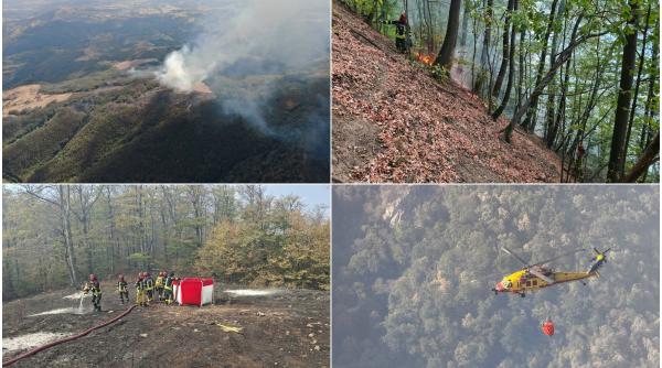 incendiu de amploare in parcul national domogled valea cernei langa baile herculane