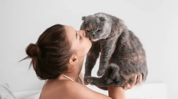 platforma de adoptii lansata de ziua mondiala a animalelor regula 3 3 3 dupa aducerea in casa a unui animal nou