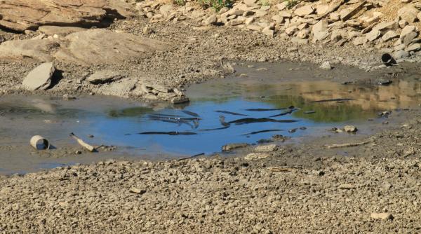 lacul brenets secat aproape complet striga dupa ajutor mesajele aparute in albia acestuia