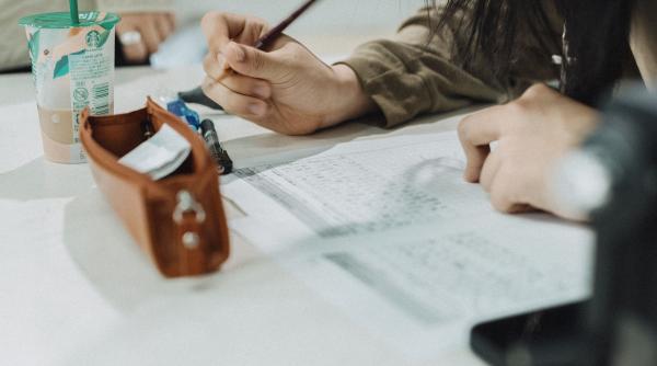 criza profesorilor loveste puternic cine mai preda disciplinele fundamentale mai putem avea un model romanesc de succes al educatie mihnea costoiu raspuns