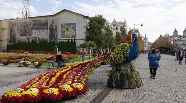 uite orasul ala frumos iasi ati fi gata sa l distrugeti ca sa va aparati tara intrebarea despre apararea romaniei care l a lasat fara raspuns pe un consilier prezidential