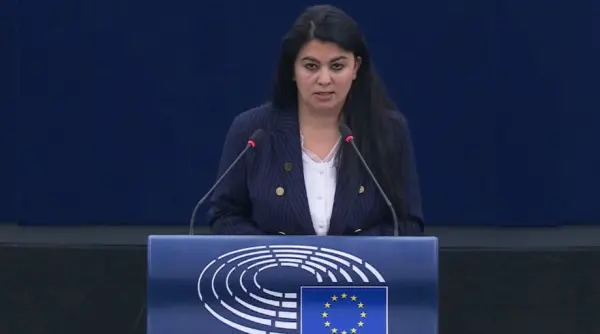 birocratia europeana o povara pentru imm uri georgiana teodorescu aur ecr cere reguli mai simple si costuri mai mici pentru micii antreprenori video