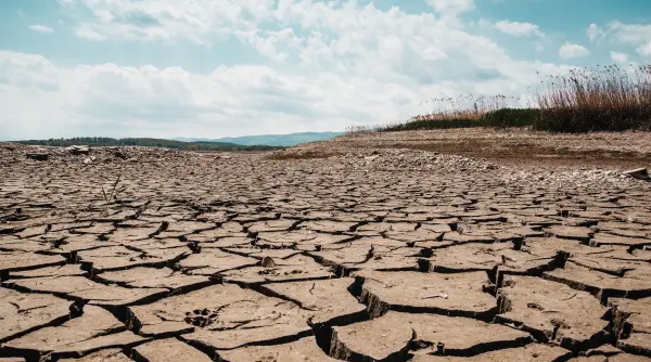 combaterea schimbarilor climatice ue noi obligatii pentru guverne reactii critice planurile nu protejeaza oamenii si ar putea bloca resurse in mod inutil