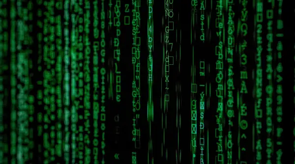datele a mii de agenti ai serviciilor de imigrare din sua divulgate in urma unui atac cibernetic scurgerea de informatii este extraordinara