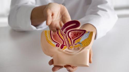 Cancerul urologic, în creștere în România. Aproape jumătate dintre pacienții analizați la Fundeni au avut tumori