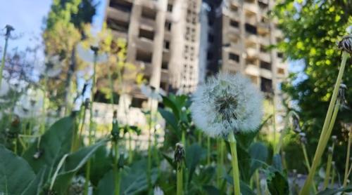 Prof. dr. Codruț Sarafoleanu, despre capcanele climatice și urbane care extind sezonul alergiilor