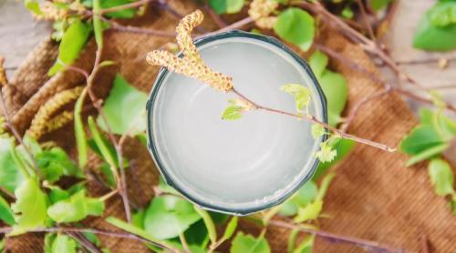 Cocktailul probiotic care ar putea preveni demența