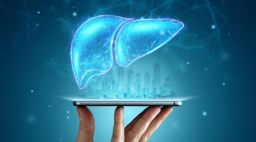 Microplasticele, noul motor al crizelor hepatice globale