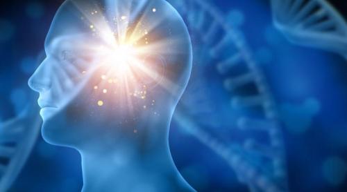 S a aflat ce oprește Alzheimerul. Ce au găsit medicii în creierul unui pacient tratat