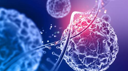 Un supliment accesibil ar putea crește eficiența tratamentelor împotriva cancerului. Cum ajută creatina sistemul imunitar