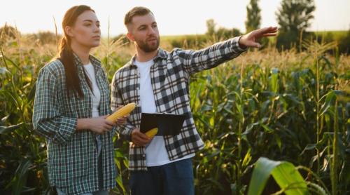 Agricultorii au termen fiscal pe 10 august. ANAF face precizări