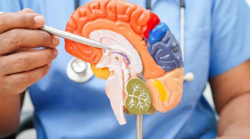 Când începe, de fapt, boala Alzheimer. Ce se schimbă în creier cu ani înainte