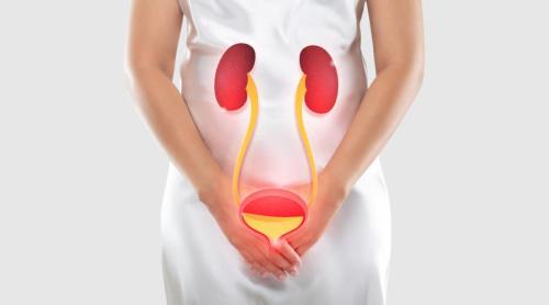 De ce infecțiile urinare sunt atât de dureroase