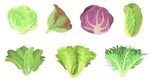 Iceberg, romaine sau kale? Care sunt cele mai sănătoase tipuri de salată