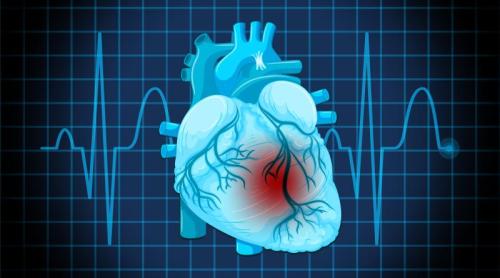 Inima își poate încărca singură stimulatorul cardiac? Dispozitivul care ar putea elimina pentru totdeauna bateria