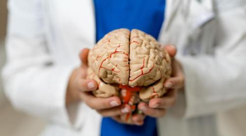 A 21 a ediție a Școlii Internaționale de Vară de Neurologie și a 14 a ediție a European Teaching Course on Neurorehabilitation   Eforie Nord, 2 5 septembrie, 2026