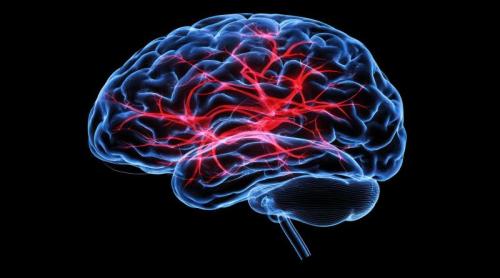 Ce se întâmplă cu pacientul după un AVC sever. Dr. Andra Enache explică ce este neuropaliația